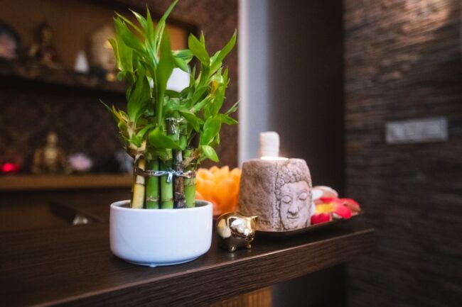 Thajský Kvet - Masáže Nitra - Galéria 6